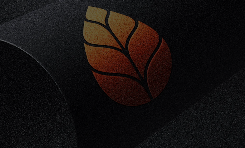 Sunrise Breeze Logo Design